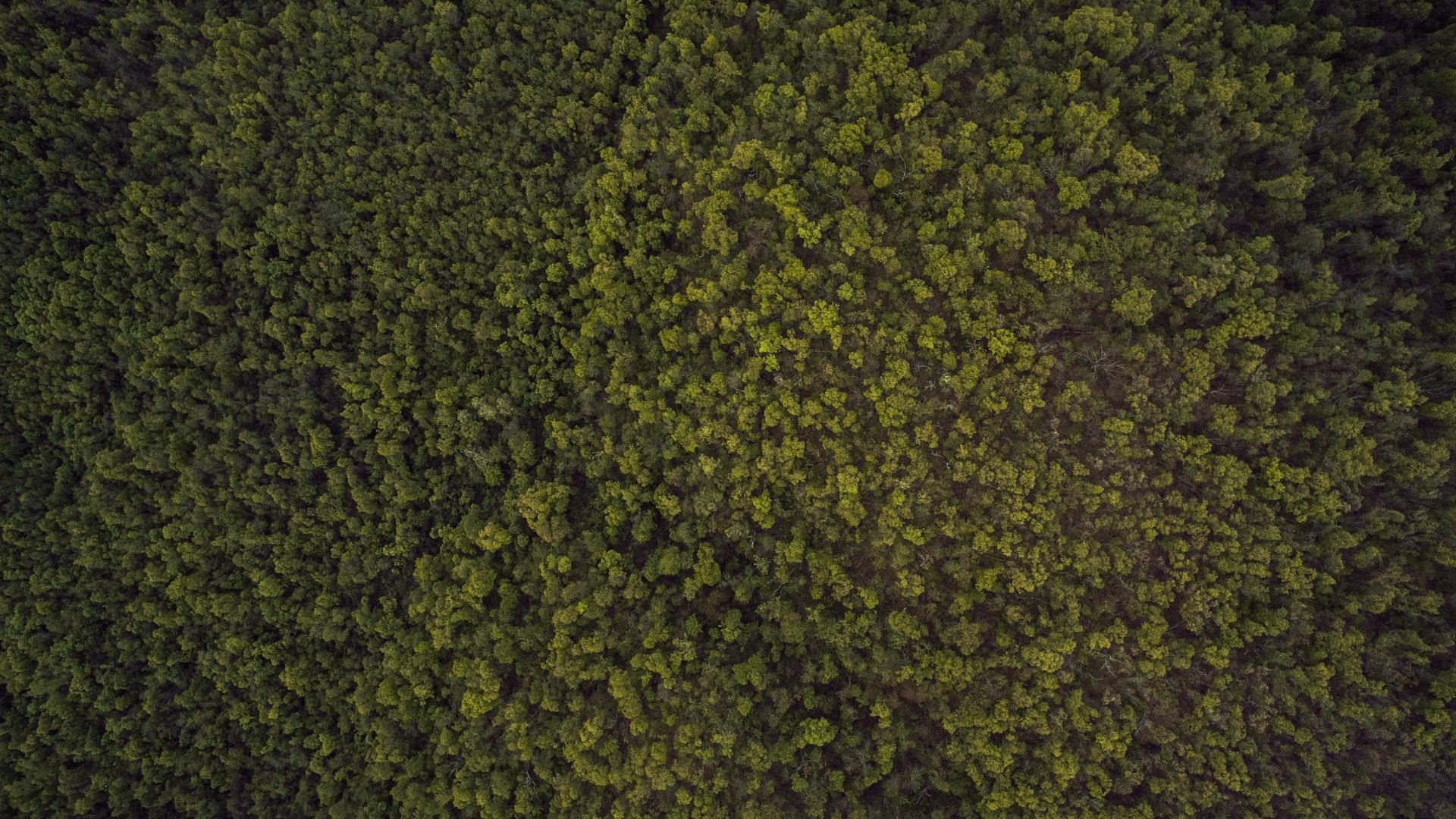 Rerum et sit ea iure vitae enim